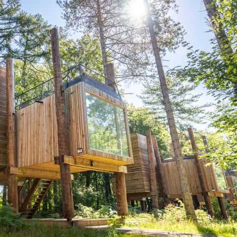 Landal Forest Resort Your Nature  - Camping Henegouwen - Afbeelding N°4