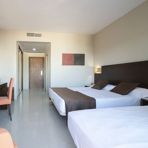 Slaapkamer 3 personen - Hotelkamer