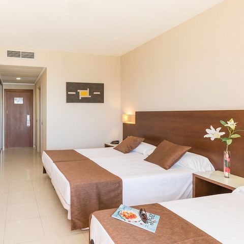 Slaapkamer 3 personen - Hotelkamer Seaside