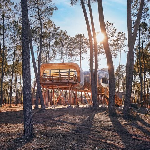 UNIEKE ACCOMMODATIE 6 personen - Boomhut LG2241