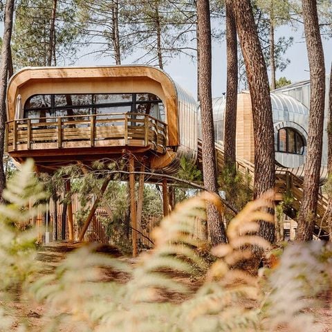 Accommodatie 6 personen - Boomhut LG2241