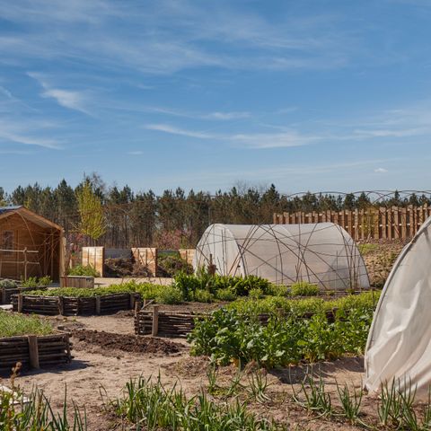 Center Parcs Les Landes de Gascogne - Camping Lot-et-Garonne - Afbeelding N°5