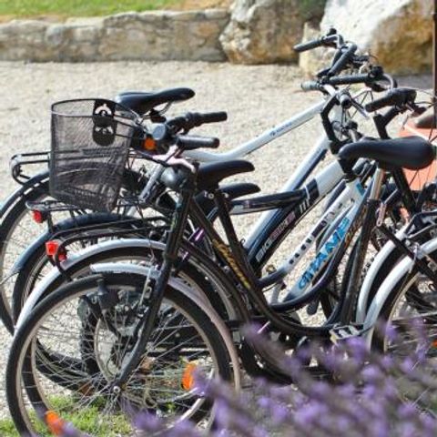 Le Domaine du Lac - Camping Drôme - Afbeelding N°2
