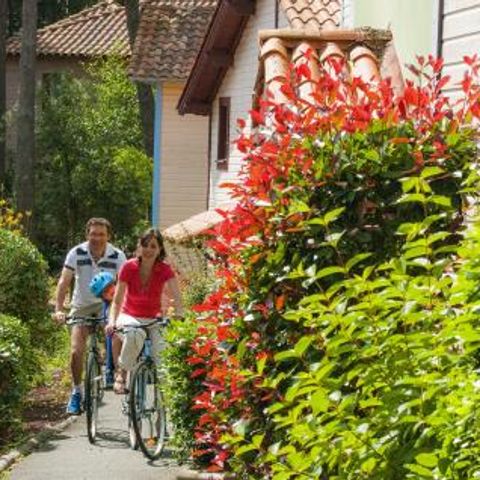 Pierre & Vacances Residence Lacanau Les Pins - Camping Gironde - Afbeelding N°5