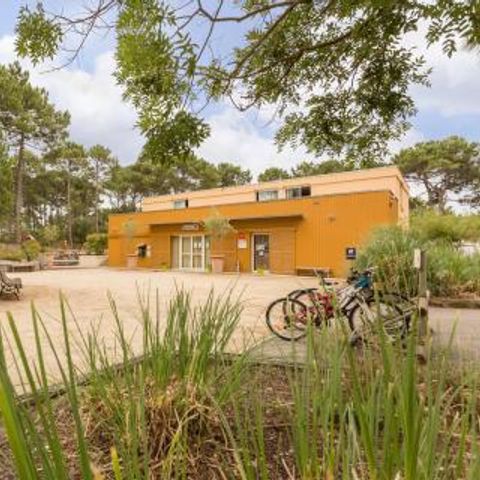 Pierre & Vacances Residence Les Grands Pins - Camping Gironde - Afbeelding N°3