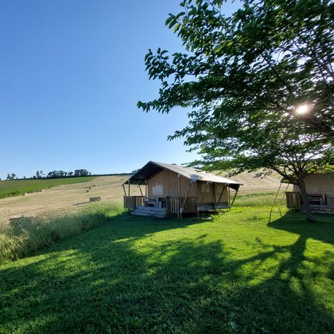 Vodatent Camping Tenuta Tredici Ulivi - Camping Ancona - Afbeelding N°3