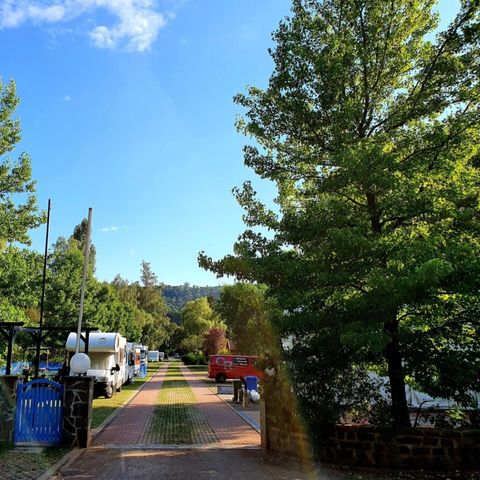 Vodatent Camping Vallee de L'Our - Camping Luxemburg - Afbeelding N°5