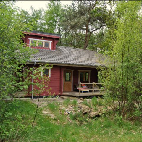 Hoor de Stilte - Camping De Wolden - Afbeelding N°6