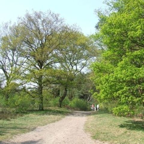 Hoor de Stilte - Camping De Wolden - Afbeelding N°3