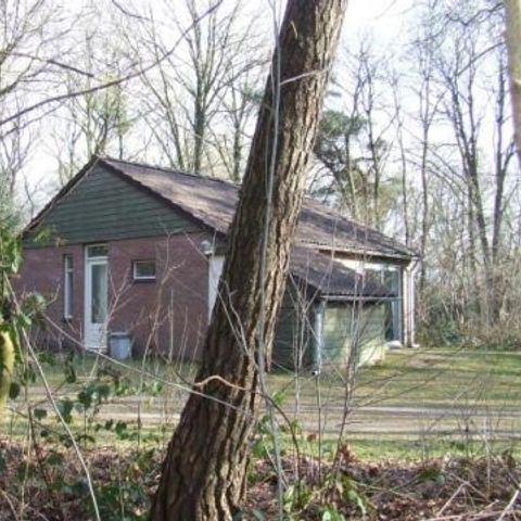 Hoor de Stilte - Camping De Wolden - Afbeelding N°5