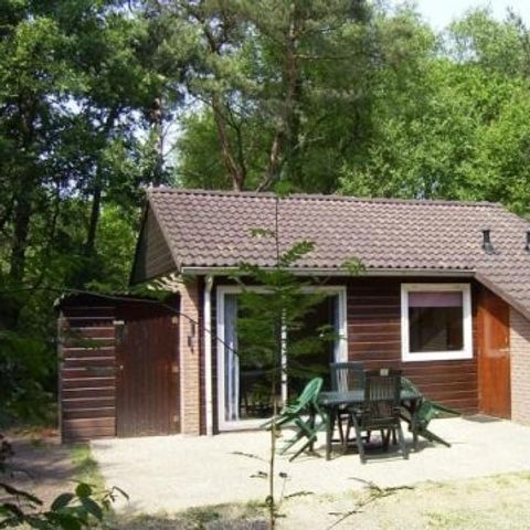 Hoor de Stilte - Camping De Wolden - Afbeelding N°4