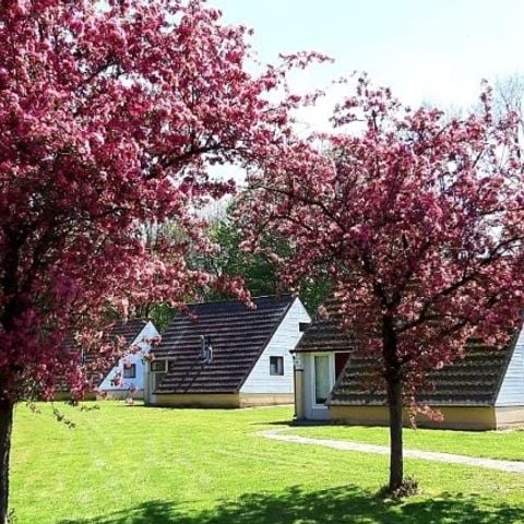 Bungalow 4 personen - Alpha