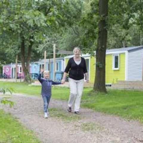 Vakantiepark Het Stoetenslagh - Camping Hardenberg - Afbeelding N°3