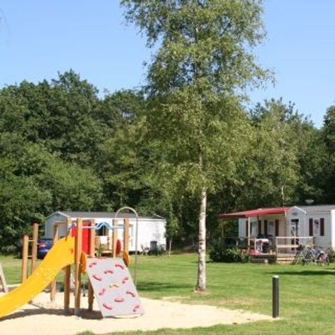 Vakantiepark Het Stoetenslagh - Camping Hardenberg - Afbeelding N°6