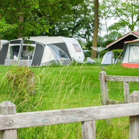 Recreatiepark Den Blanken - Camping Berkelland - Afbeelding N°3