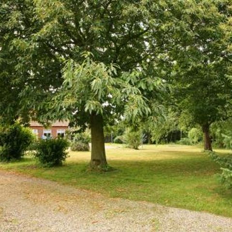 Vakantiewoningen De Zavelberg - Camping Eijsden-Margraten - Afbeelding N°4