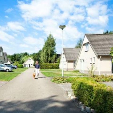 Vakantiepark 't Posterbos - Camping Roerdalen - Afbeelding N°4