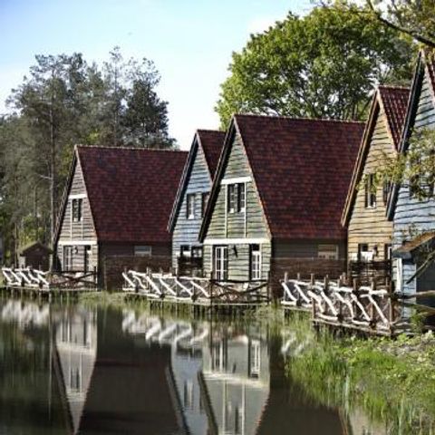 Efteling Bosrijk - Camping Loon op Zand - Afbeelding N°2