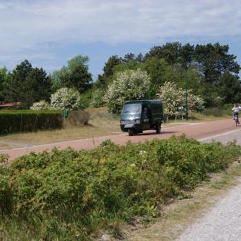 Strandresort Schier - Camping Súdwest-Fryslân - Afbeelding N°2