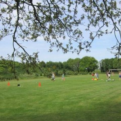 De Klokkenweide - Camping Loon op Zand - Afbeelding N°2