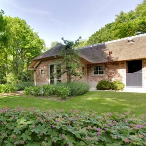 Vrijrijck Vlindervallei - Camping Ermelo - Afbeelding N°2