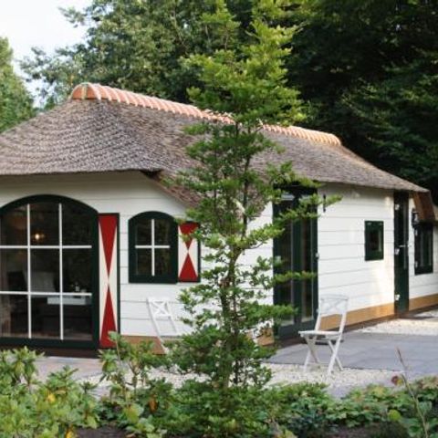 Vrijrijck Heivlinder - Camping Ermelo - Afbeelding N°3