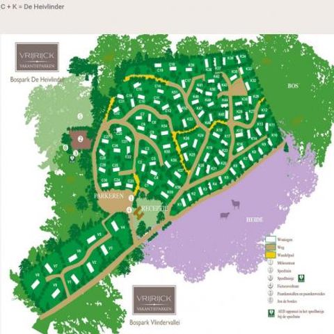 Vrijrijck Heivlinder - Camping Ermelo - Afbeelding N°2