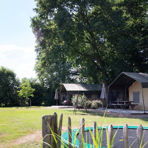 Safaritent 5 personen - Luxe