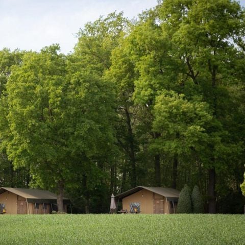 Safaritent 5 personen - Luxe