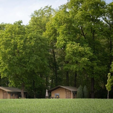 Safaritent 5 personen - Luxe