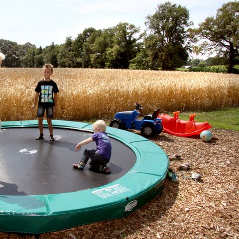 Landrijk de Reesprong - Camping Haaksbergen - Afbeelding N°3