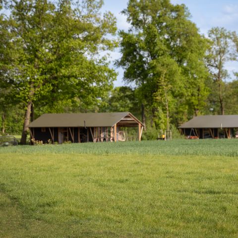 Landrijk de Reesprong - Camping Haaksbergen - Afbeelding N°5