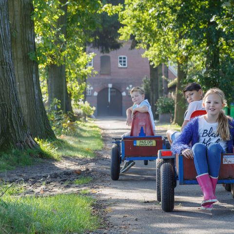Landrijk de Reesprong - Camping Haaksbergen - Afbeelding N°6
