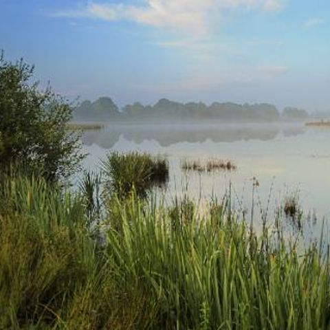 Vakantiecentrum Maarnse Berg - Camping Utrechtse Heuvelrug - Afbeelding N°2