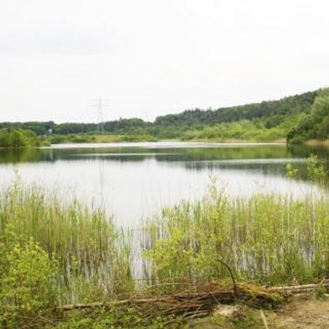 Vakantiecentrum Maarnse Berg - Camping Utrechtse Heuvelrug - Afbeelding N°3