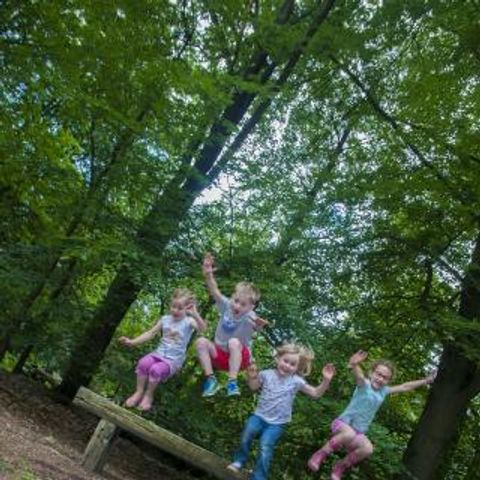 Vakantiecentrum Maarnse Berg - Camping Utrechtse Heuvelrug - Afbeelding N°5