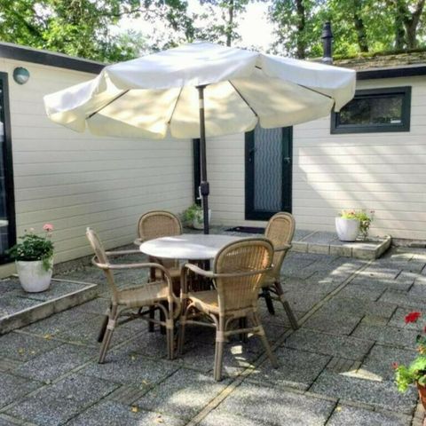 Bospark IJsselheide - Camping Oldebroek - Afbeelding N°2