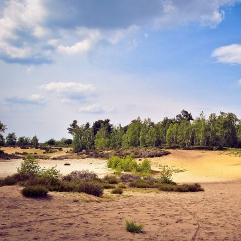 VAKANTIEHUIS 6 personen - Deluxe