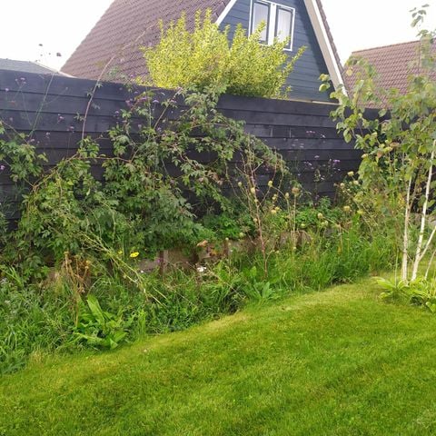 Bungalow 7 personen - 68 Bungalow 7 personen - 68