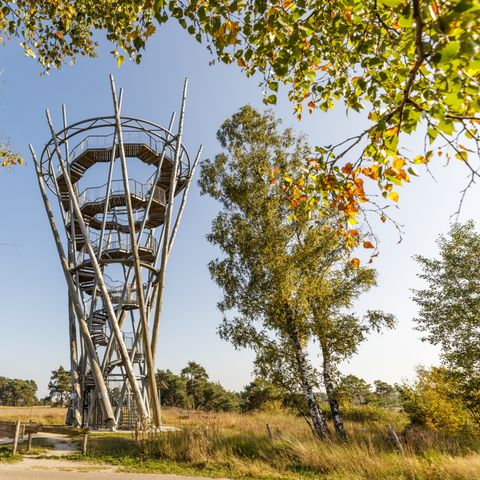 Chaletpark Kempenbos - Camping Hilvarenbeek - Afbeelding N°6