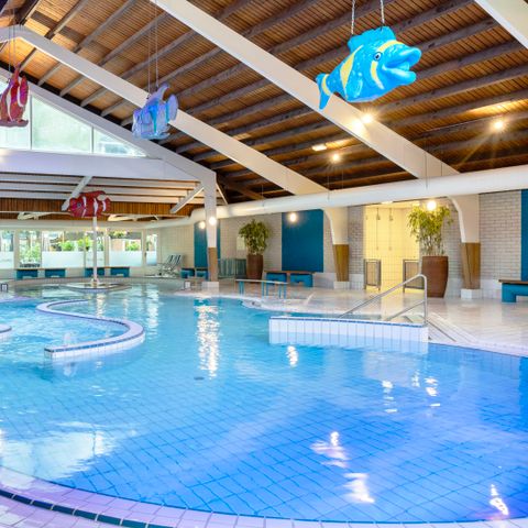 Summio Parc Heihaas - Camping Ermelo - Afbeelding N°5