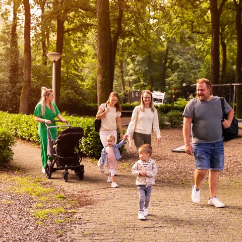 Summio Parc Heihaas - Camping Ermelo - Afbeelding N°4