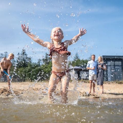 Landal Sallandse Heuvelrug - Camping Wierden - Afbeelding N°2