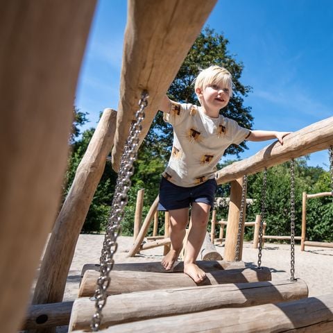 Landal Gooise Heide - Camping Huizen - Afbeelding N°2