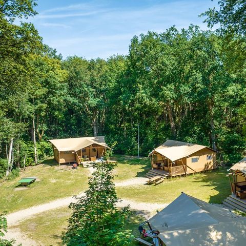 Landal Gooise Heide - Camping Huizen - Afbeelding N°2
