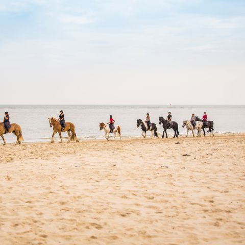 Landal Kaap West - Terschelling - Afbeelding N°3