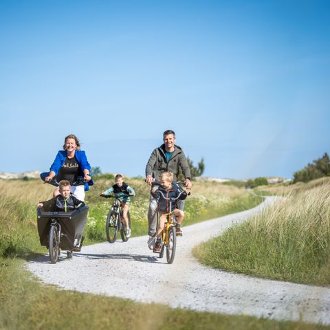 Landal Kaap West - Terschelling - Afbeelding N°4