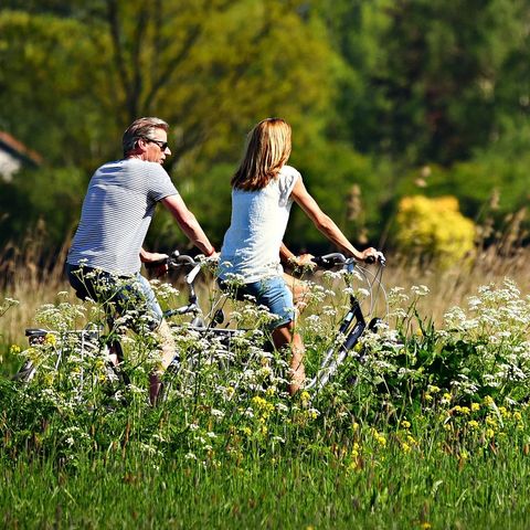 Vakantiecentrum Sonnevanck - Camping Midden-Drenthe - Afbeelding N°3