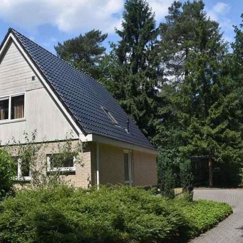 Bungalow 10 personen - Zwaluw