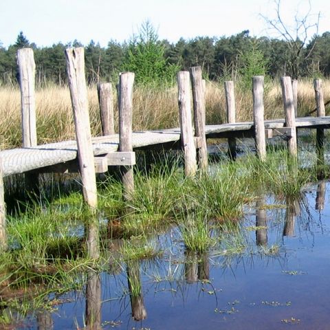 Vakantiecentrum Sonnevanck - Camping Midden-Drenthe - Afbeelding N°4